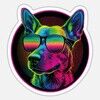 neonfinds